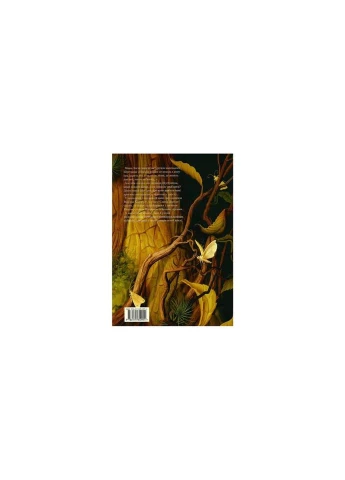Книга Шустрик - Мар'яна Князевич А-ба-ба-га-ла-ма-га (9786175850954) Издательство «А-ба-ба-га-ла-ма-га» (312140171)
