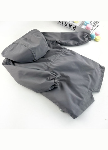 Сіра демісезонна дитяча парка на меховушці для хлопчика та дівчинки з капюшоном (1-par-fu-dh-1-1-07241) Marakas