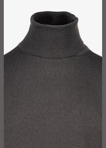 Графитовый демисезонный свитер однотонный мужской 1124 графитовый (2000990010568d) shop (2000990010568) Akin Trico