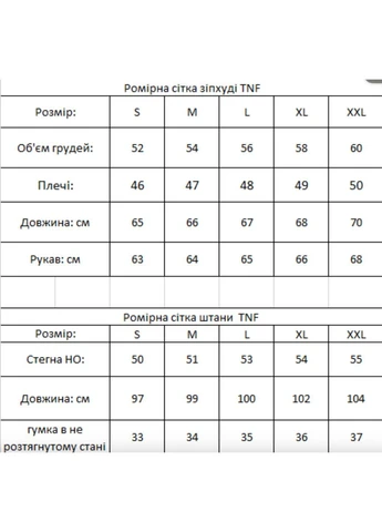 Костюм TNF: кофта-штани 2 пари шкарпеток у подарунок! No Brand (401263327)