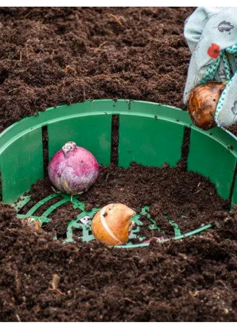 Кошик для висаджування цибулин круглий, діаметр 23 см No Brand (364535421)