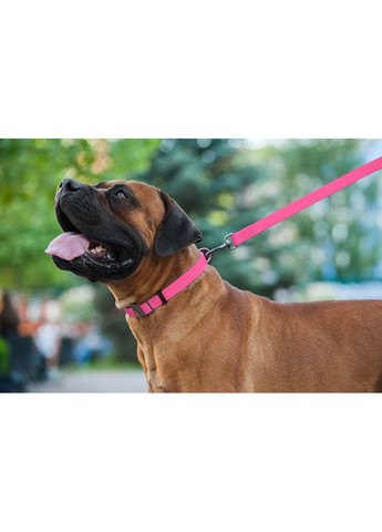 Повідець для собак WAUDOG Waterproof рожевий 20мм 122см легкий неслизький для прогулянок та активностей ProDobro (373221176)