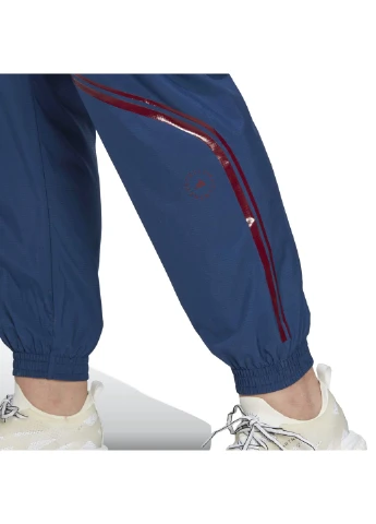 Штани adidas aSMC TPA W PT (395746327)