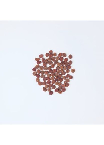 Сухой корм True Fresh Cat для взрослых кошек, с курицей, 4,8 кг Carnilove (362702543)