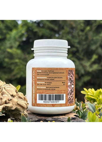 Майтаке, екстракт 10:1, капсули 120 шт по 0.5 г Лісовик (334711216)