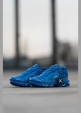 Синій Осінні кросівки чоловічі Nike Air Max TN Plus