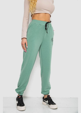 Спортивные штаны женские,, 238R121 Apex (328961837)