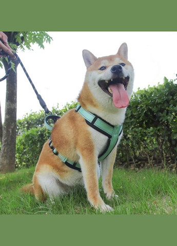 Шлейка для собак Pet Style "2 кільця" Зелена S No Brand - (323232304)