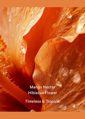 Mango Temptation 🎀 Victoria's Secret Парфумований спрей для тіла (341317286)