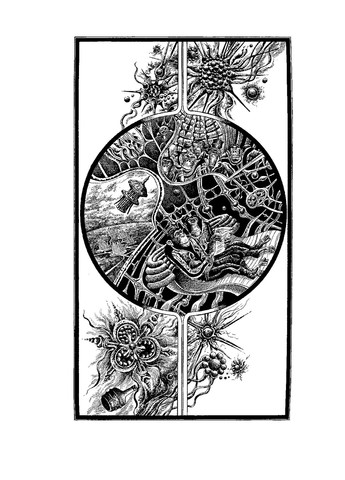 Планета мавп Навчальна книга - Богдан (370105606)