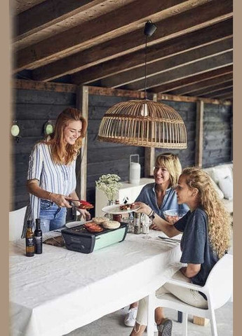 Вугільний гриль Aurora Mint Enders (341260706)