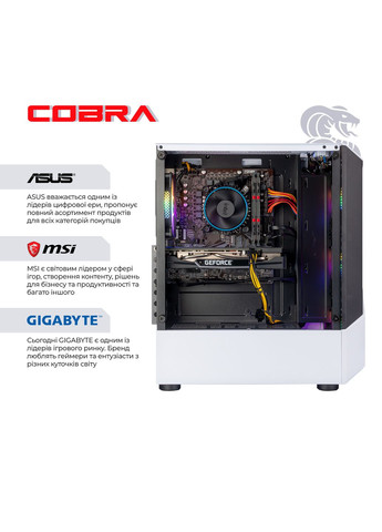 Персональный компьютер Advanced (I124F.64.H2S5.55.25175) Cobra (367073780)