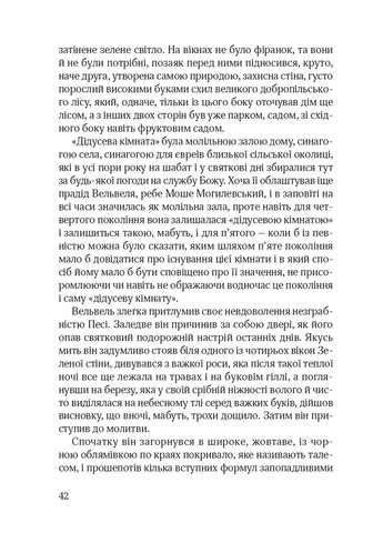 Сын блудного сына Видавництво 21 (370055593)