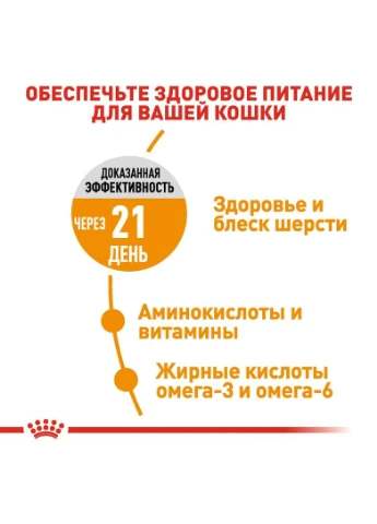 Hair and Skin Care (Рояв Канін Хейр енд Скін Кер) сухий корм для котів і вовни від 12 міс 4 кг. Royal Canin (297512012)