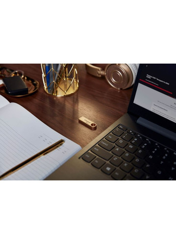 USB флэш-накопитель 512GB DataTraveler SE9 G3 Gold USB 3.2 (DTSE9G3/512GB) Kingston (305319516)