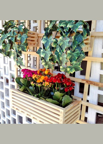 Полиця настінна для квітів з дерева Віаман бланже (ЦВС-004101) No Brand (328226274)