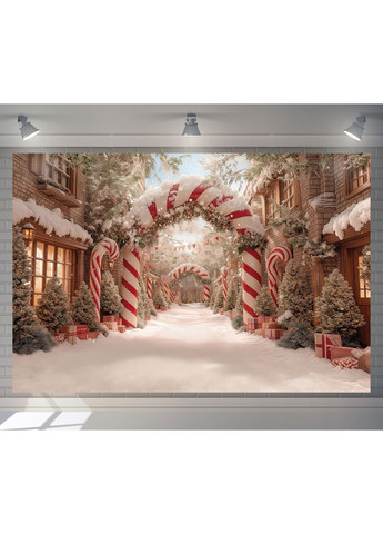 Фотозона Засніжена вулиця з карамельними тростинами – №46569 Vinylpex (369929997)