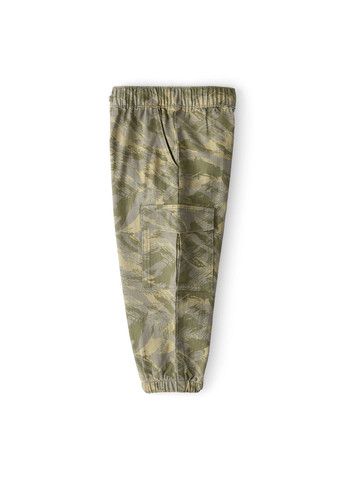 Штани для хлопчика 88-93 см (2T884310_2T) Carter's (362562686)