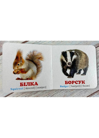 Навколишній світ. "У лісі" " – книжка-картонка для найменших (9786178638559) Пегас (372485927)