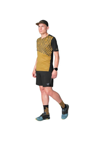 Коричнева футболка alpine 2 /s mns Dynafit