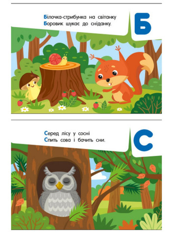 Кишенькова абетка : Абетка в лісі G1631002У 9789667510855 РАНОК (279327457)