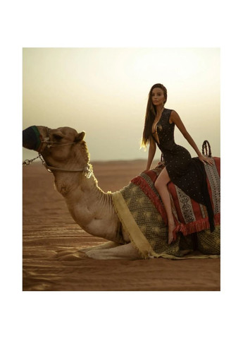 Пеньюар сексуальний із стразами напівпрозорий Shine With Me, розмір O/S Leg Avenue (306441492)