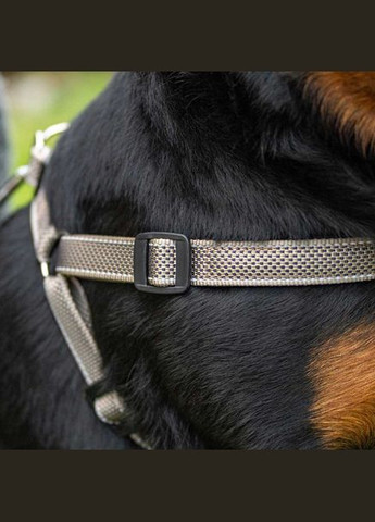 Шлея для собак Daytona Deluxe L нейлонова коричнево-чорна A: 65-71 см B: 67-73 см 2 см 77204212 Ferplast (323224634)