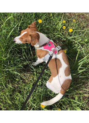 Шлея для собак Bororo Комфорт и контроль во время каждой прогулки No Brand (362571932)