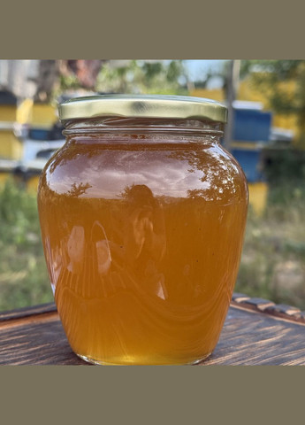 Мед Лесное Разнотравье с Липой натуральный из кочевой пасеки 2025 г 0,7 л (950 грамм) МЕД ПОШТОЮ (351874102)