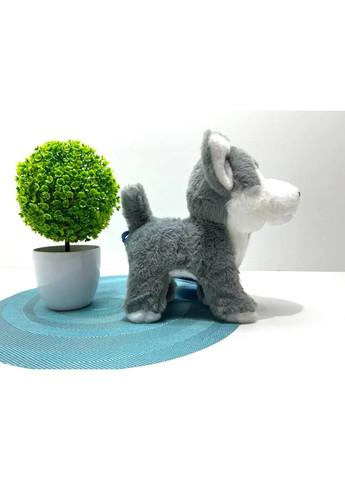 Собачка интерактивная Хаски пульт-поводок музыка звук песни ходит виляет хвостом 22см (M 6196 I UA) No Brand (361854822)