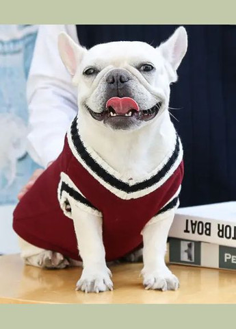 Жилет для собак теплый на флисе бордового цвета S No Brand (299839835)