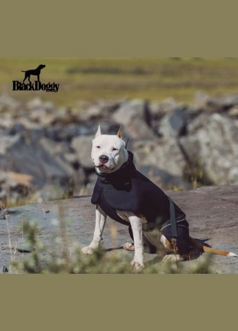 Куртка для собак (БлекДогги) VC19-JK008 XL, BlackDoggy (297567212)
