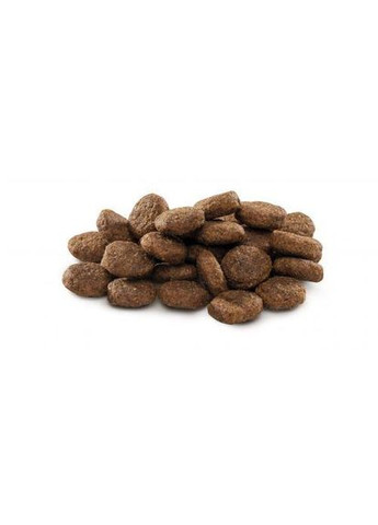 Сухой корм Dog Junior L для щенков и юниоров больших пород, с курицей, 15 кг Brit Premium (322875159)