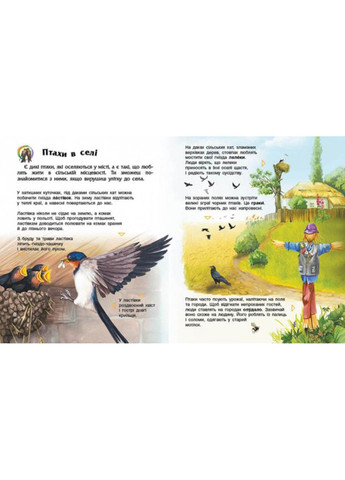 Энциклопедия дошкольника Птицы 614032 для самых маленьких Ranok Creative (308997648)