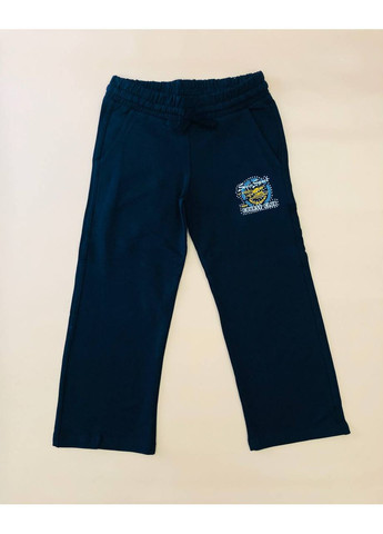 Спортивні штани дів. 2031 Course (366978189)