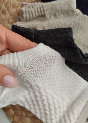 Комбинированные носки базовые в сетку короткие 6 пар wg 309/6 р.36-40 разноцветный Lomani однотонные (330779759)