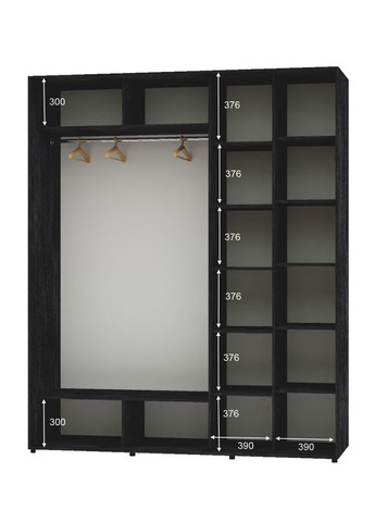 Шафа-купе дводверна 200*60*250 Бетон темний Дзеркало/Дзеркало з піскострумним малюнком Алекса (360458317)