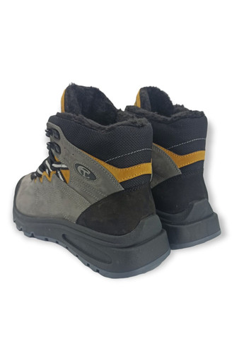 Черевики (р) Нубук 0-2-2-8087 Stepter (276534976)