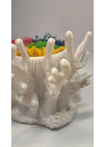 Кашпо "Кораловий риф" зі стабілізованим мохом - 3D декор з природним настроєм No Brand (372739528)