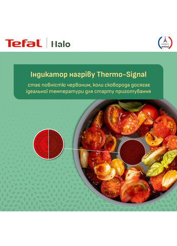 Сотейник с крышкой Halo 24 см (C3123253) Tefal (351855484)