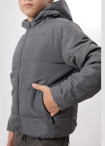 Сіра демісезонна куртка дитяча на дівчинку демісезонна, сіра Polin Line куртка