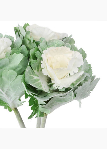 Брасика "Грація", біла ELISEY (322248809)