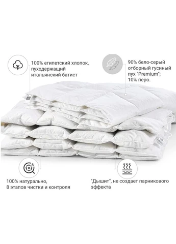 Одеяло пуховое Raffaello 053 зима+ 200x220 см (2200000018168) Mirson (390936470)