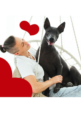 Сублімовані ласощі для собак Сублімований паштет зі страуса під журавлиним соусом 50 г Mavsy (353515458)