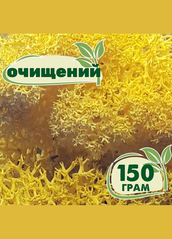 Очищений стабілізований мох ягель Жовтий лимонний 150 грам Nordic moss (276401153)