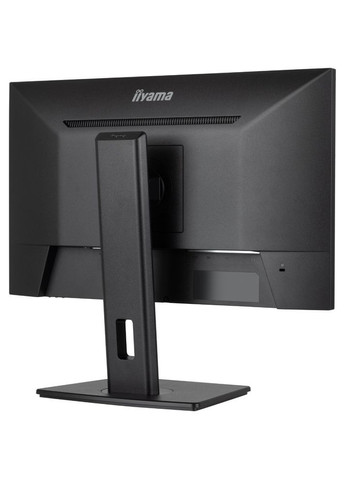 Монитор ProLite (XUB2493HSU-B7) Iiyama (324558013)