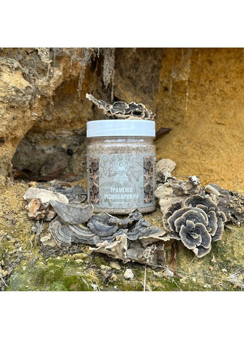 Траметес різнобарвний мелений гриб 50 г Лісовик (364210422)