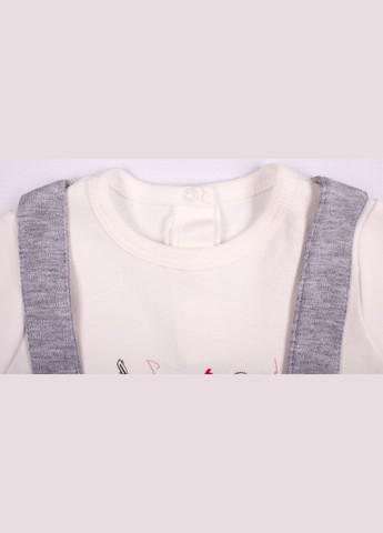 Комбінезон 60192 Сірий BiBaby (306545693)