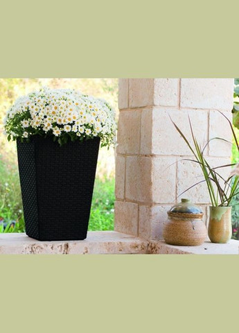 Горщик для рослин Medium Rattan Planter сірий Keter (329407730)