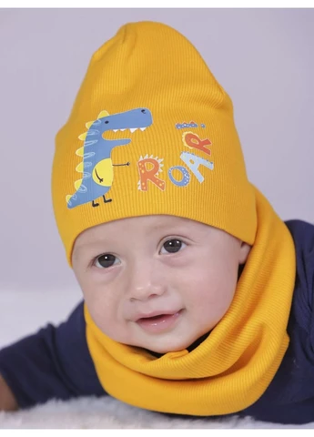 Комплект шапка і хомут No Brand (322388685)